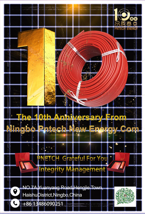 Latest company news about Le 10ème anniversaire de NIingbo PNtech